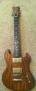 Hackl Custom Guitar #101010