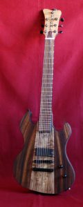 Hackl Custom Guitar #011006