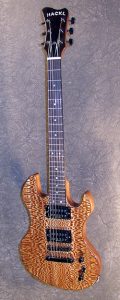 Hackl Custom Guitar #100801