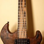 Hackl Custom Guitar #031008