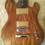Hackl Custom Guitar #101010